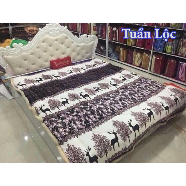 [ĐÓN TẾT] CHĂN LÔNG CỪU VIỆT NAM KHÔNG BỊ LO BÍ (Fanpage: Chăn Lông Cừu Việt Nam)