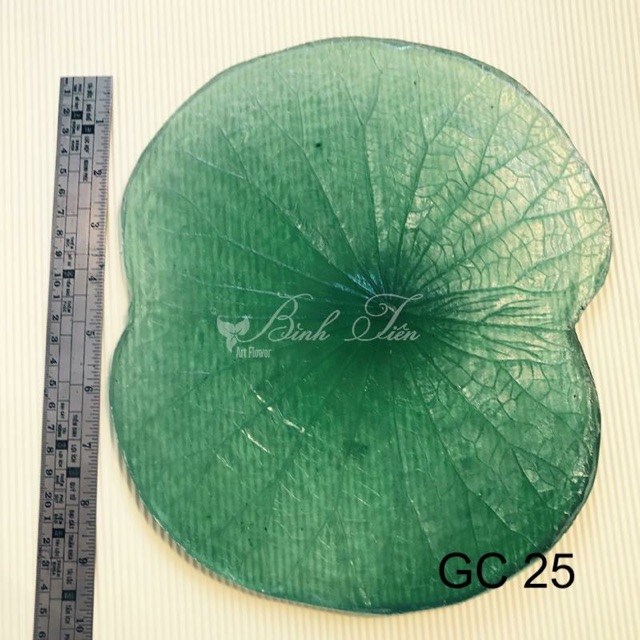 Gân hoa đất sét- gân lá sen đại