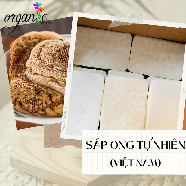 SÁP ONG TỰ NHIÊN