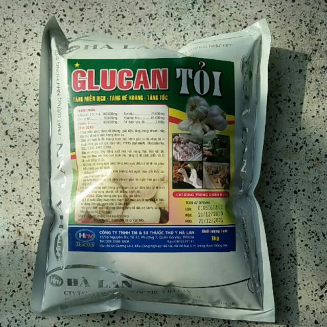 Glucan tỏi