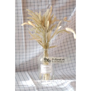 HOA CỎ KHÔ MỘC MẠC ( BÓ 100 CÀNH)