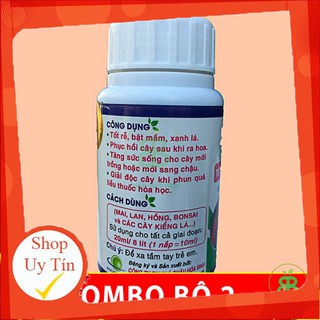 - Phân Bón Lá Sinh Học Ami Green set 2 Chai