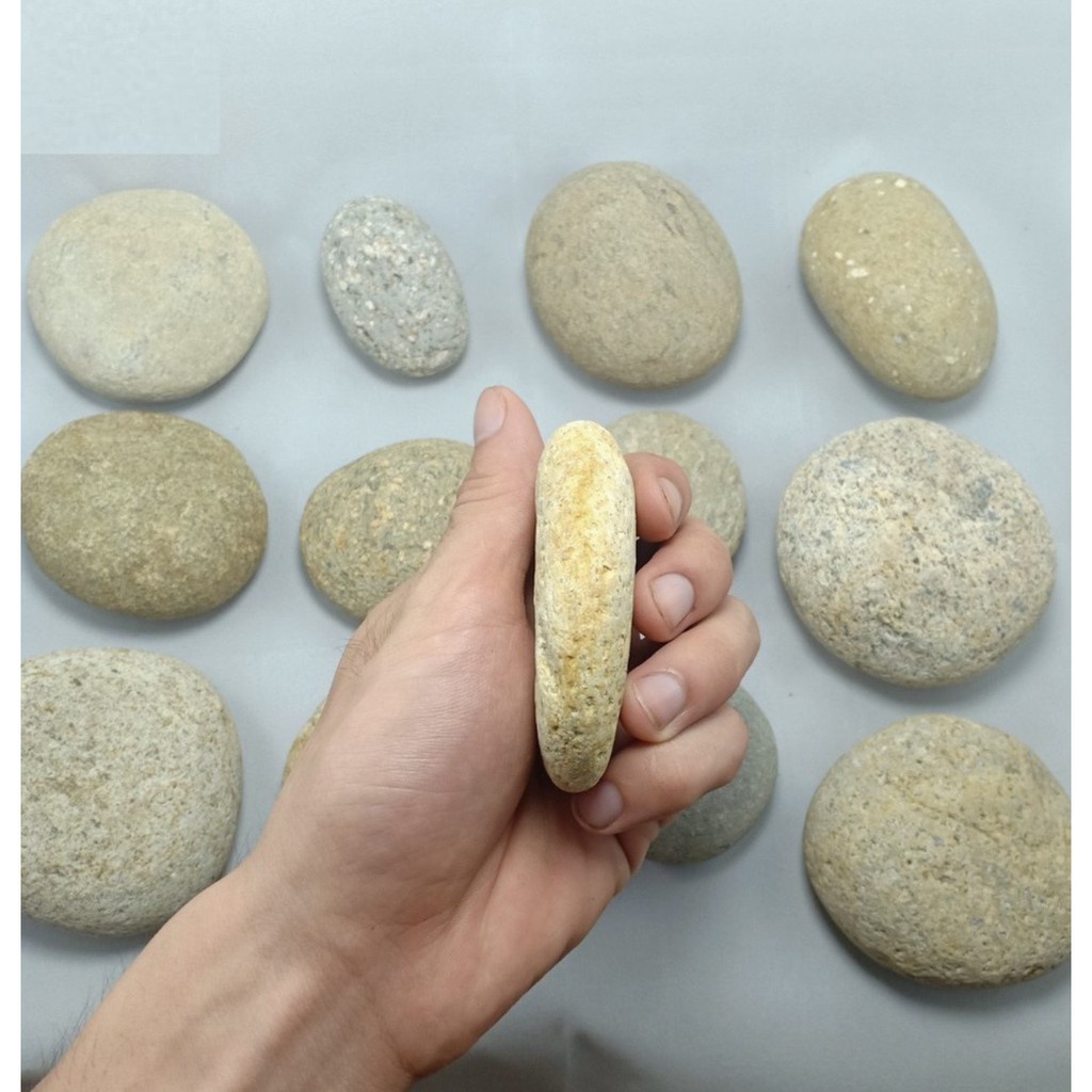 Đá Kì Tắm Tự Nhiên Dài Kỳ Lưng Dài, Đá khô Cuội Tắm Tẩy Da Chết | BigBuy360 - bigbuy360.vn