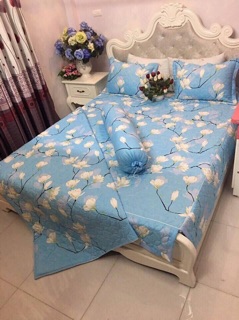 Set ga gối poly trần bông