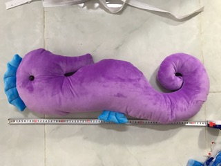 Combo 5 gối ôm cá ngựa