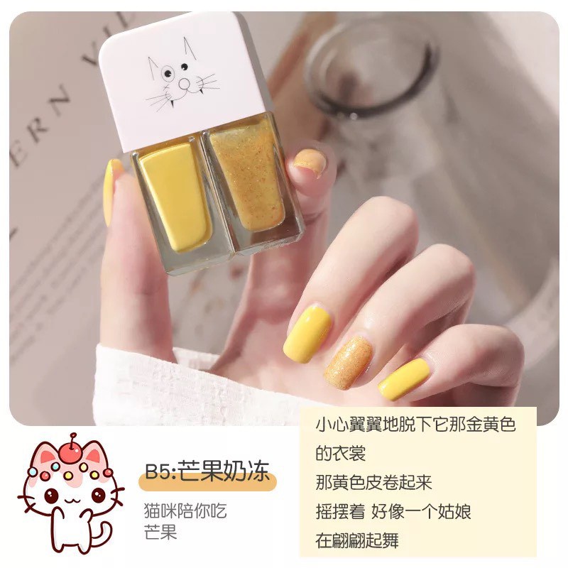 Full Set 2 Chai Sơn Móng Tay Nhũ Lì Fairy's Gift 2*6ML, Nước Sơn Móng Tay Set 2 Chai Nhanh Khô Không Cần Hơ Đèn UV