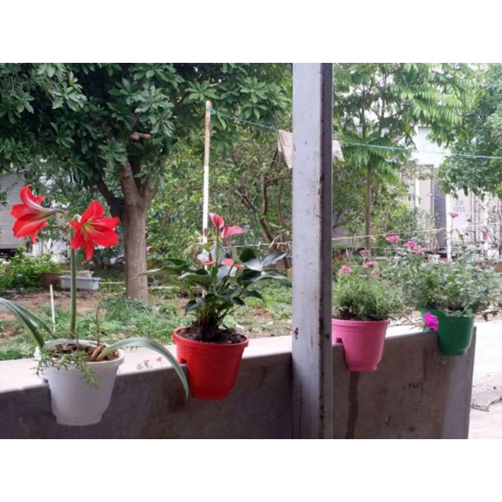 10 chậu kẹp lan can, hàng rào 16x13 cm có đĩa lót