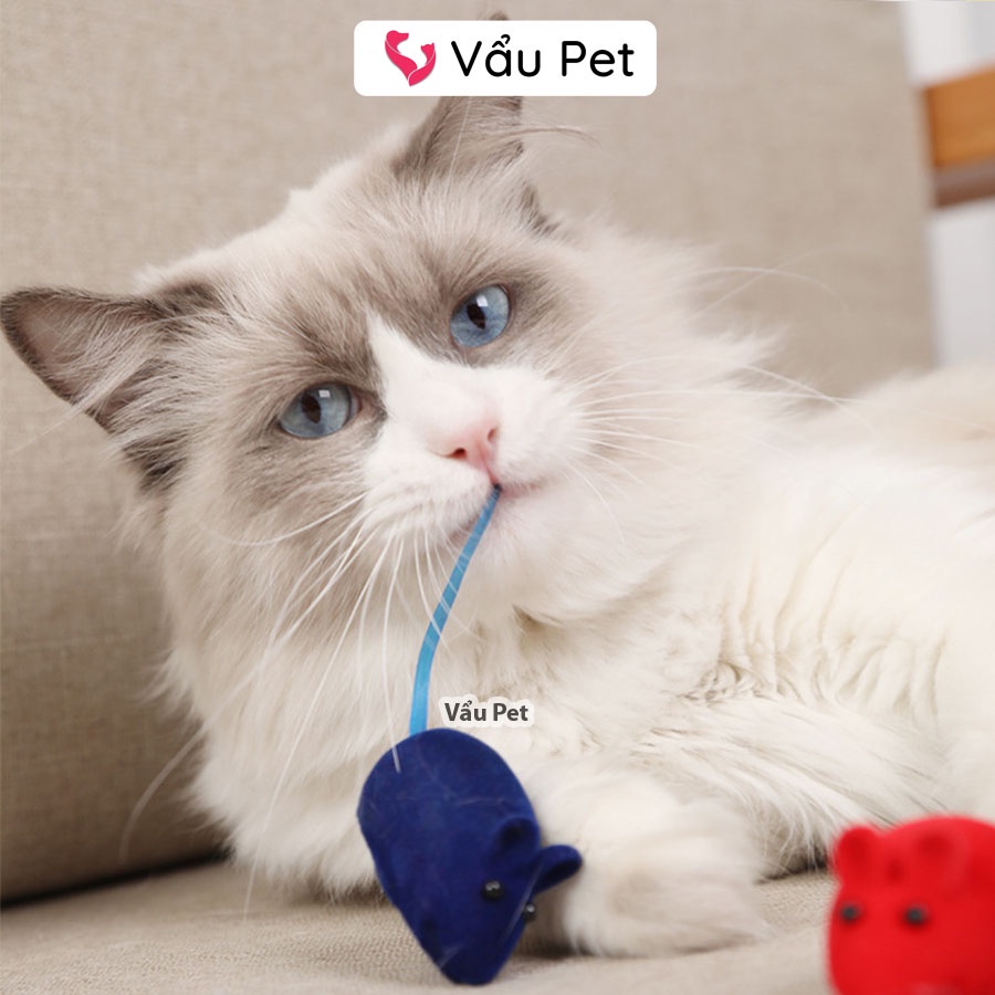 Đồ chơi cho mèo hình chuột Vẩu Pet Shop