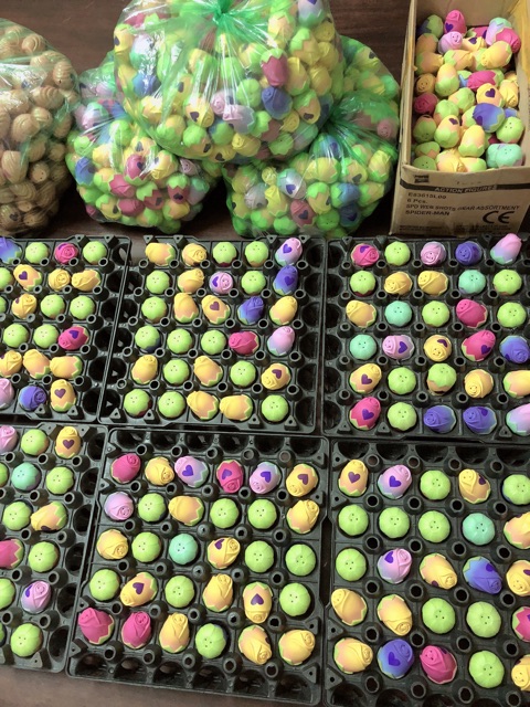 Trứng  hoa hồng mix sò đại dương đổi màu- mùa xuân- hiếm -  (mua 20 quả tặng 5 nhân vật shopkins)