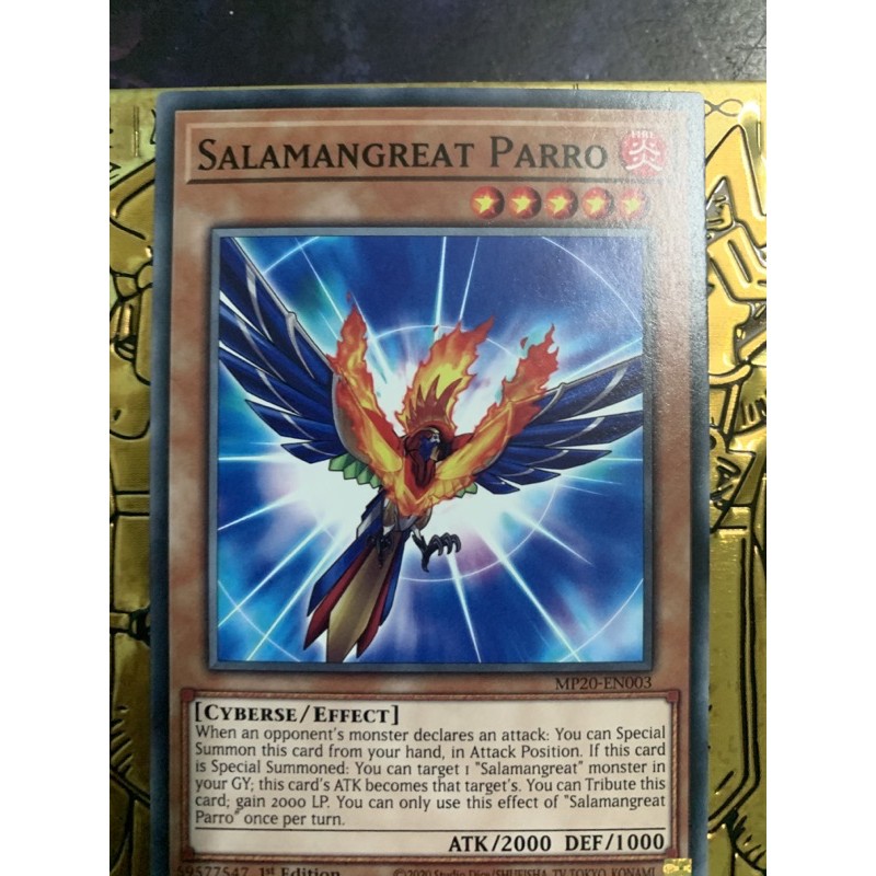 bài yugioh:salamangreat parro