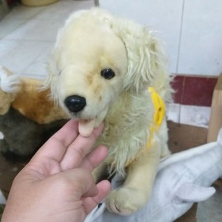 Gấu si cua c to nga