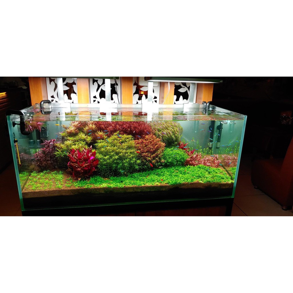 ĐÈN LED THỦY SINH WEEK ARK RGB