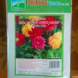 Hạt giống hoa thược dược 1g