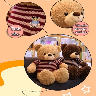 Gấu Bông Teddy