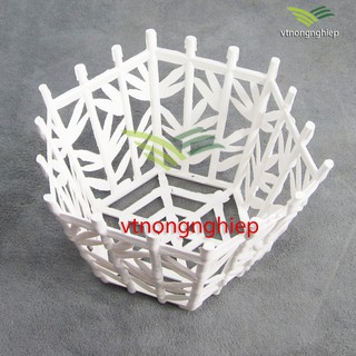 Chậu nhựa trồng lan, chậu lan lá tre, phi 22cm, màu trắng, thích hợp trồng hoa lan - vtnongnghiep