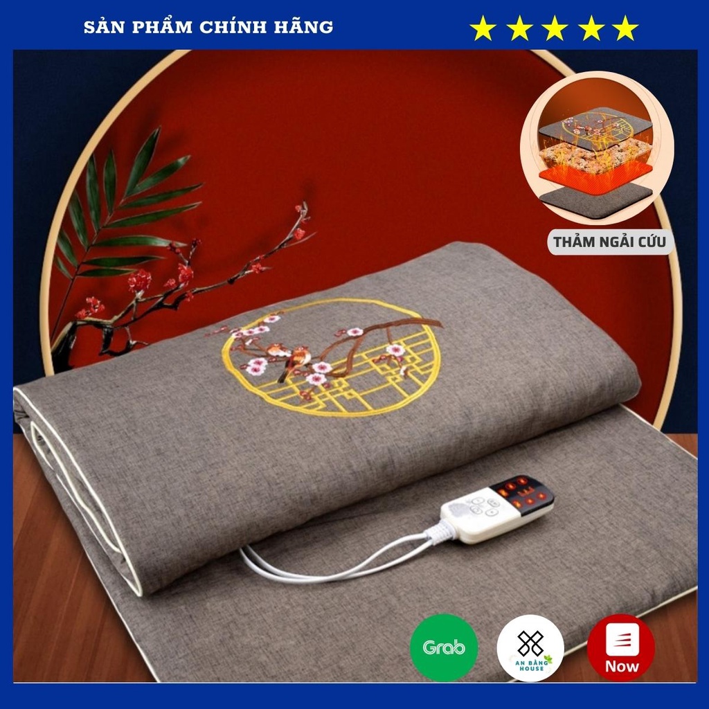 Thảm Ngải Cứu Điện Đông Y Nội Địa Trung, Đệm Ngải Cứu Chính Hãng Cắm Điện Làm Ấm