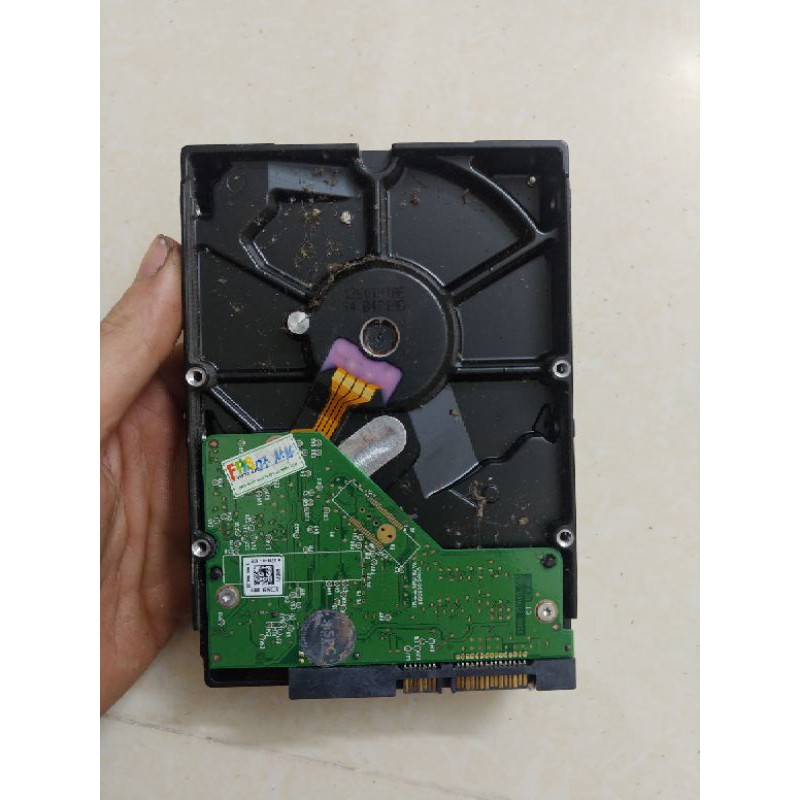 Ổ cứng 250gb | BigBuy360 - bigbuy360.vn