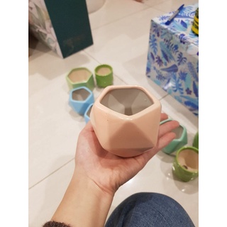 chậu kim cương 6x6
