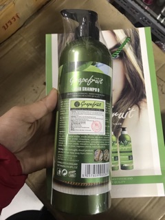 Bộ gội xả Grapefruit new