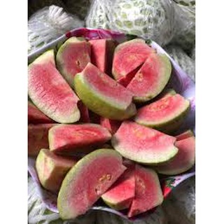 Cây ổi ruby, cây ổi giống - caygiong-f1