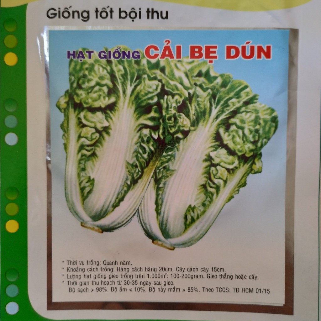 Hạt giống CẢI BẸ DÚN