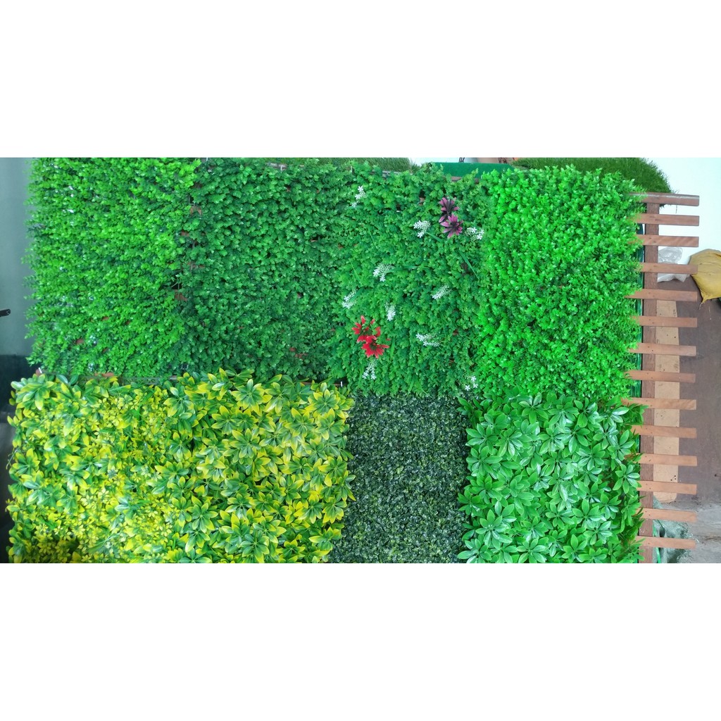 Thảm cỏ nhựa treo tường - Cây trang trí - Combo 10 tấm mắt trâu lá liễu