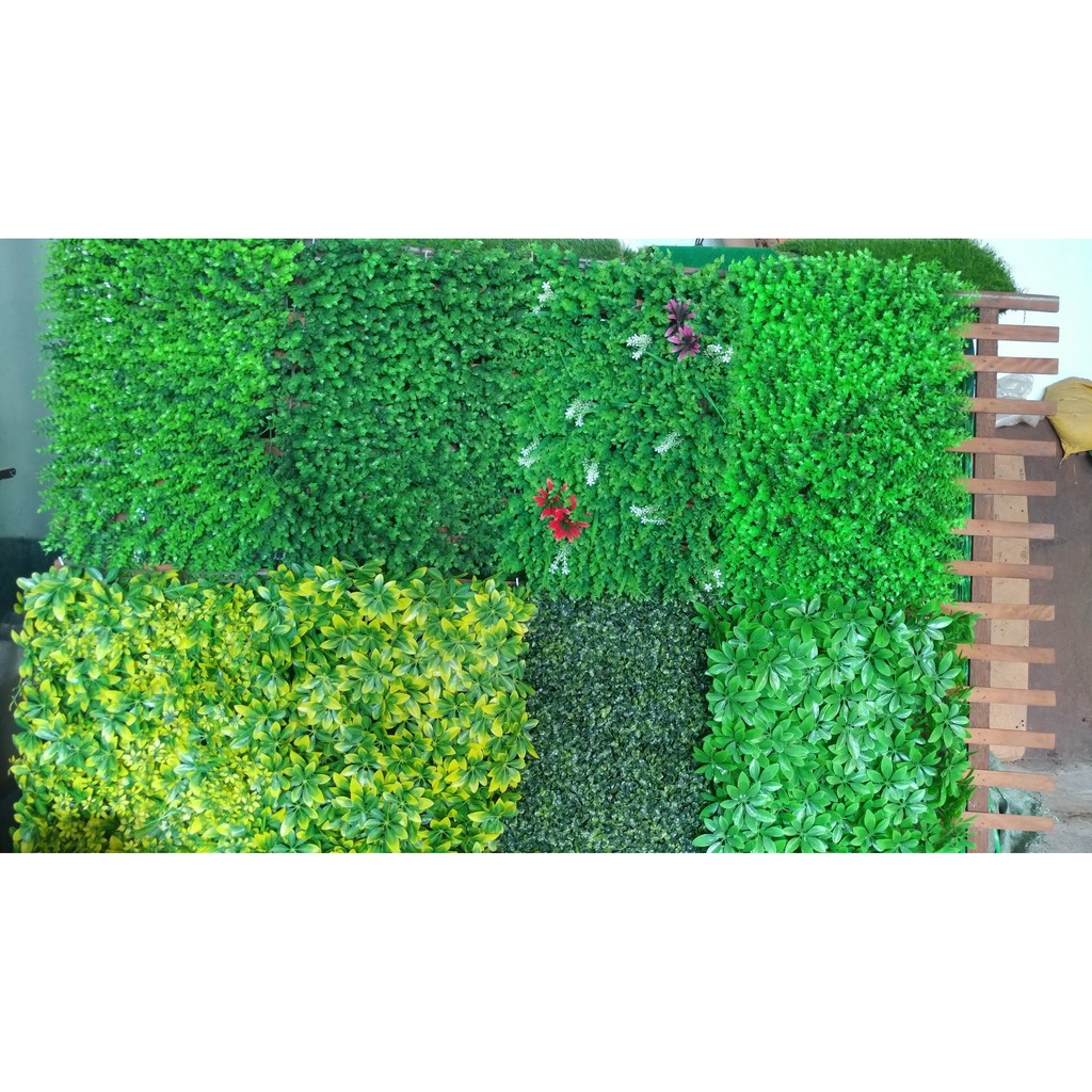 Thảm cỏ tai chuột 247, tai chuột 308 - 40 x 60cm - Tấm cỏ nhựa, vỉ cỏ nhựa làm tường cây giả