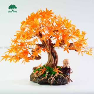 Lũa Bonsai, Lũa thủy sinh dùng trang trí hồ cá cảnh, hồ thủy sinh, văn phòng, nhà cửa