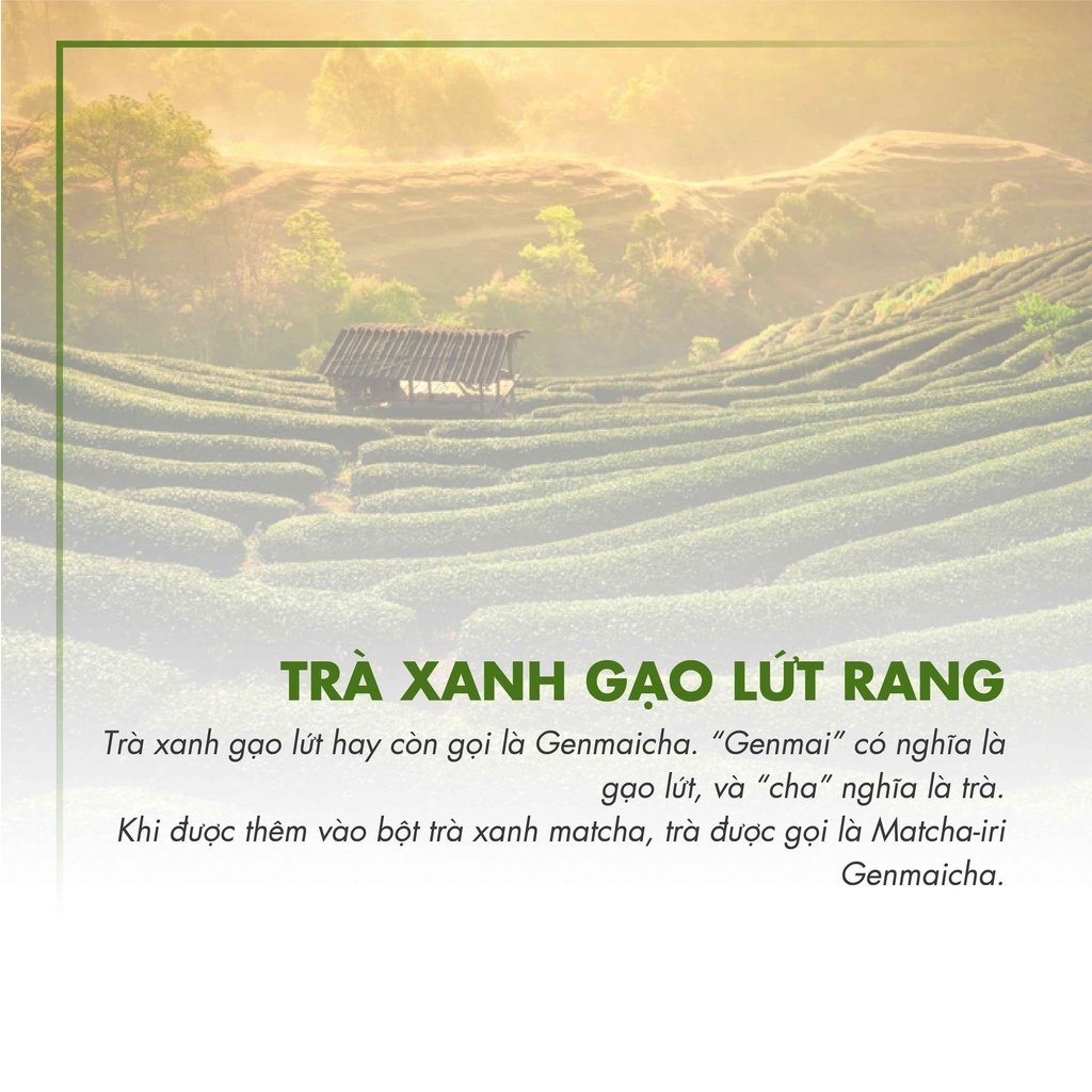 [GÓI DÙNG THỬ 20G] Trà Xanh Gạo G241 Dotea - Ngọt Thanh Hương Gạo Vị Matcha Nồng Nàn