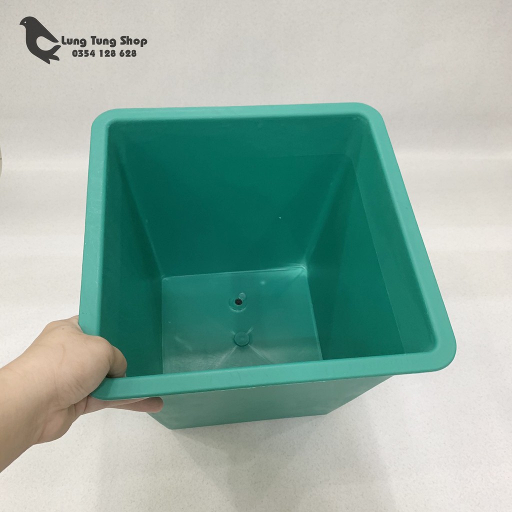 Chậu vuông nhiều màu - trồng cây nuôi cá