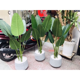 Cây giả - Cây chuối giả 1,2m