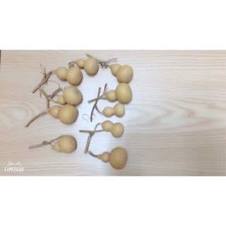 10 quả bầu hồ lô mini thật nguyên cuống