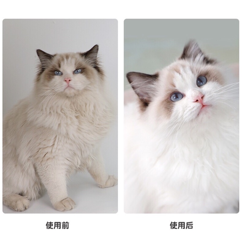 [Giá dùng thử] Sữa tắm cao cấp cho mèo Beou 250ml chai siêu dễ thương, tiện bỏ túi đi du lịch cực kì