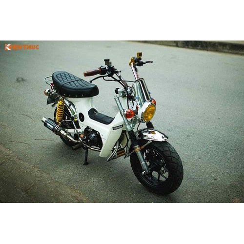 Yếm giữa xe CHALY che bình xăng con.