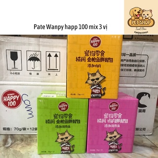 Combo 6 gói + 10 gói pate súp thịt tươi wanpy cho mèo 70g