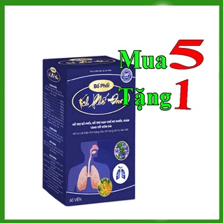 Bổ phổi ích phế đan hộp 60 viên