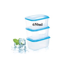 Bộ trữ đông thực phẩm Tupperware 650ml ( 6 hộp)