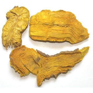 HOÀNG ĐẰNG khô Loại 1 [500g]