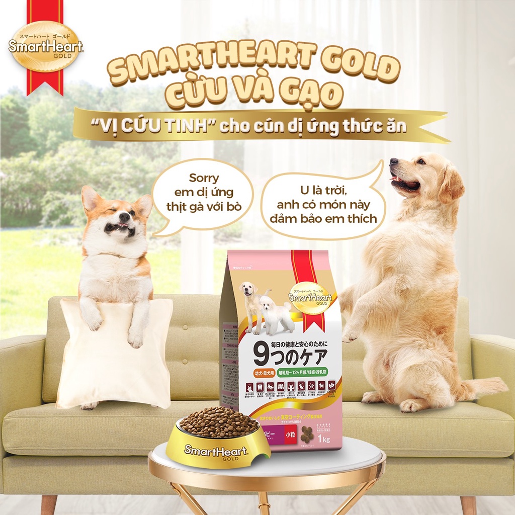 Hạt chó Smart heart Gold 1kg 3kg mọi độ tuổi, giống chó nhỏ lớn cún bầu con Con Mèo Xiêm