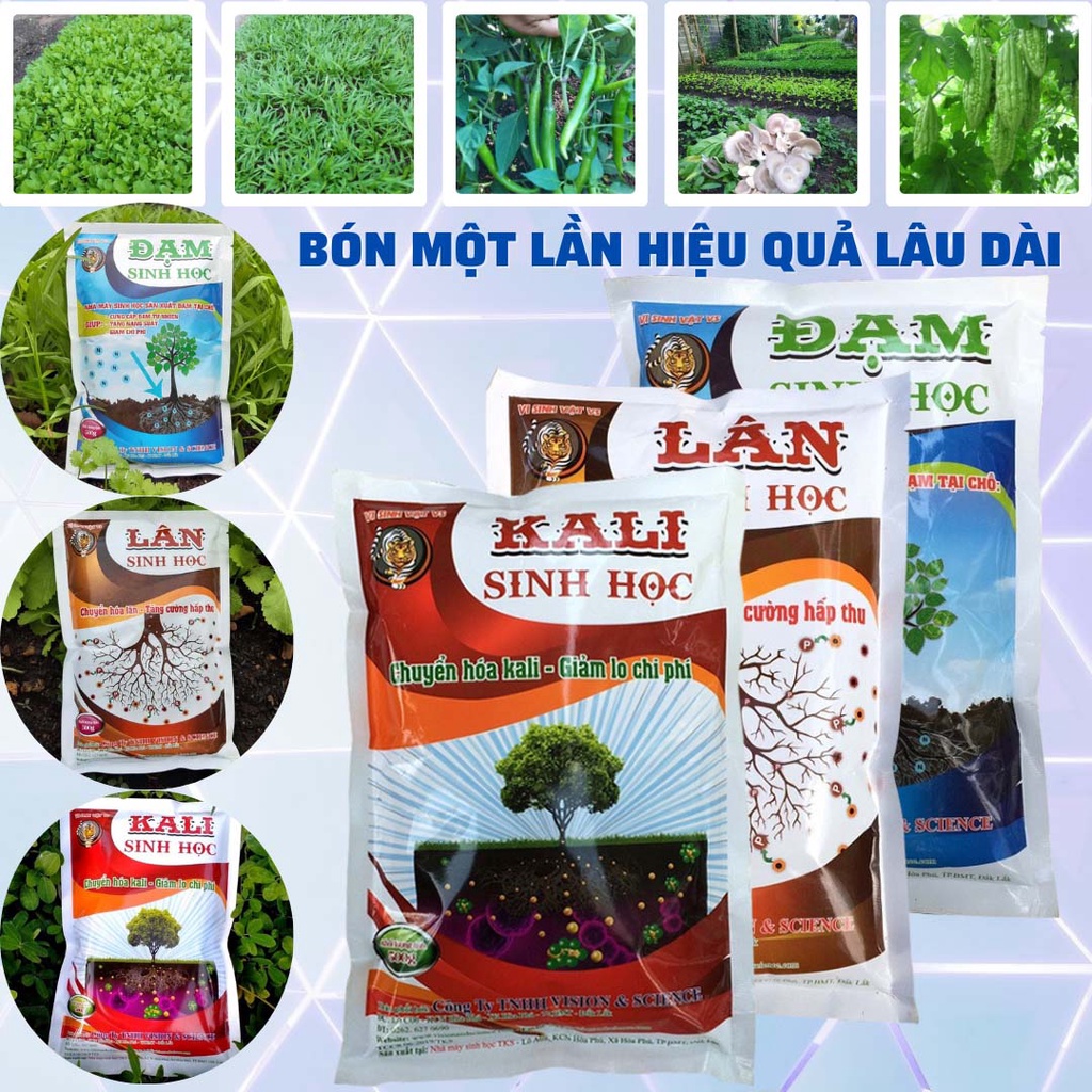 3Gói ĐẠM LÂN KALI Sinh Học Phân Giải Lân, Cố Định Đạm, Chuyển Hóa Kali - Mỗi gói 500gr