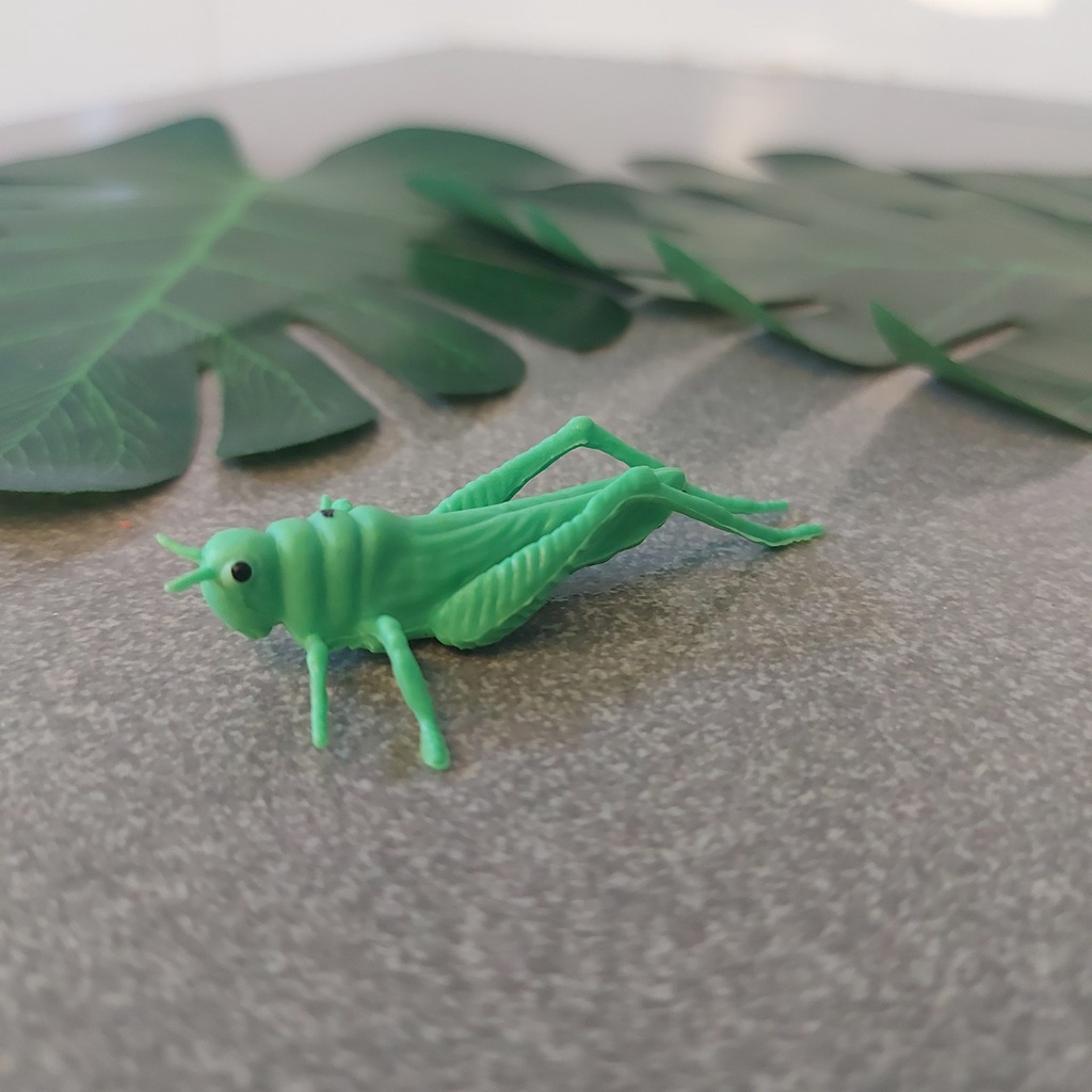 Con Côn Trùng Giả Kiến Nhện Sâu Đồ Chơi Cho Bé 000674