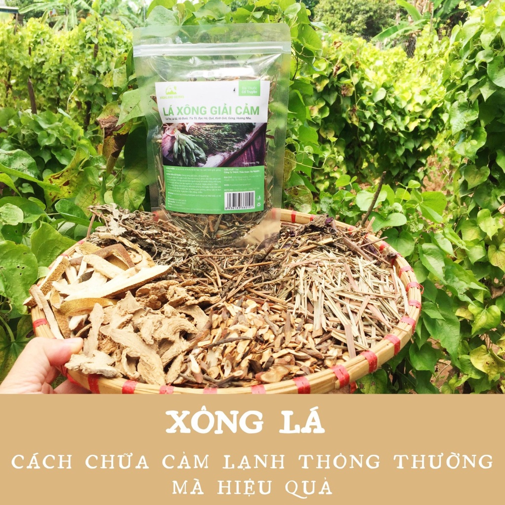 Lá Xông Giải Cảm