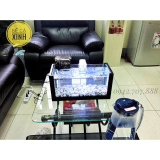 Set bể cá khung gỗ cỡ lớn bao gồm lọc trung và đèn led