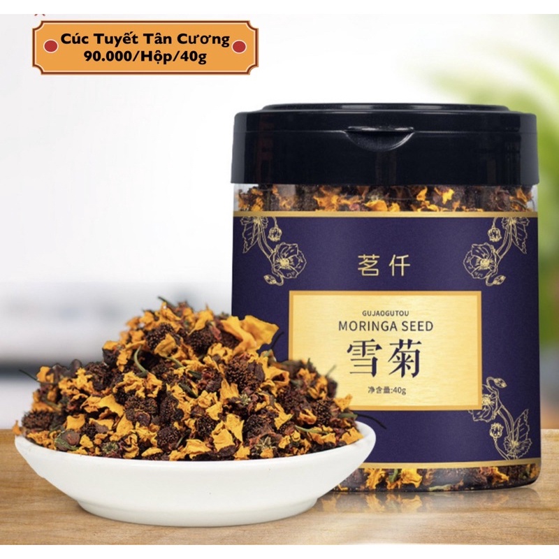Cúc Tuyết Tân Cương