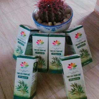 Tình dầu tràm Huế Min Min