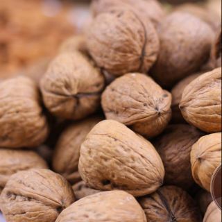 Quả óc chó mỹ