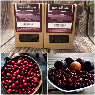 Nam việt quất sấy khô Flores Farm 100 g