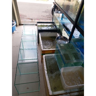 Hồ Cá Cảnh 20. 20.20