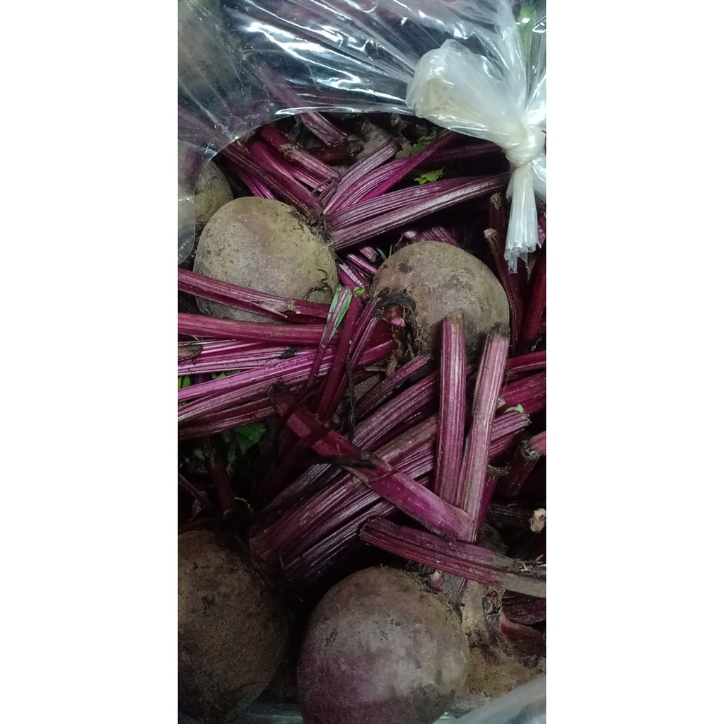 củ dền ngon mà rẻ