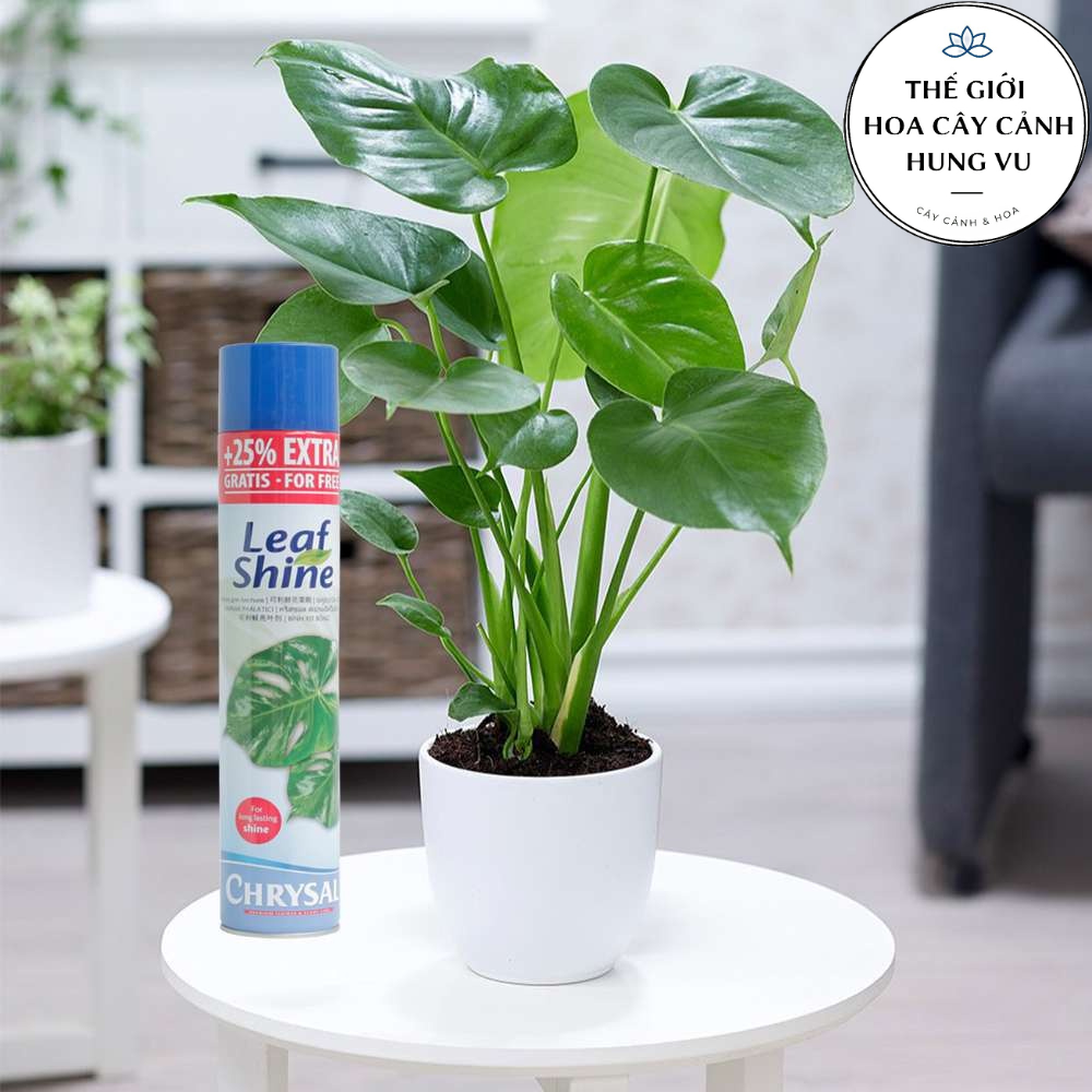 Xịt bóng leaf shine 600 ml